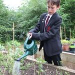 student watering vegetables